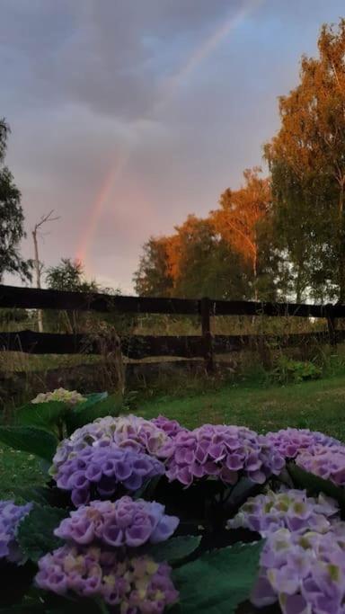 Poggenhagen Urlaub Mitten In Der Natur Neustadt am Rubenberge Luaran gambar